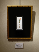 DSCF5288.jpg