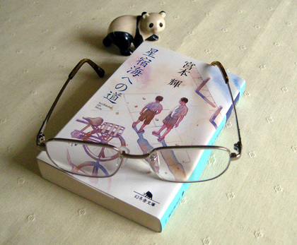 Teru_2455.jpg