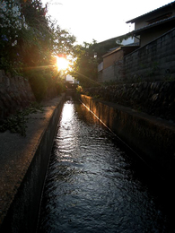 kawa5.jpg