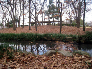 IMG_1747.jpg