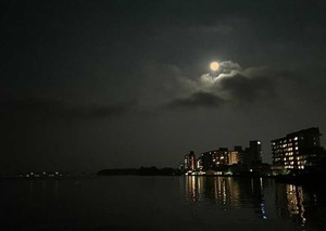 bluemoon.jpg