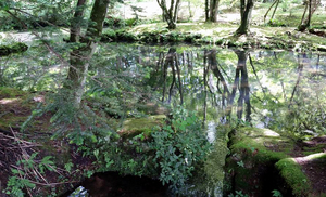 heiyu-karuizawa.jpg