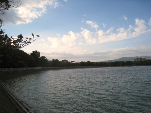 koyaike 009.JPG