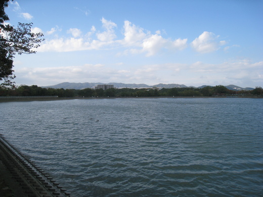 koyaike 010.JPG