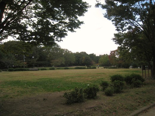 koyaike 012.JPG