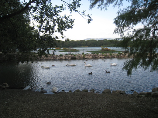 koyaike 019.JPG