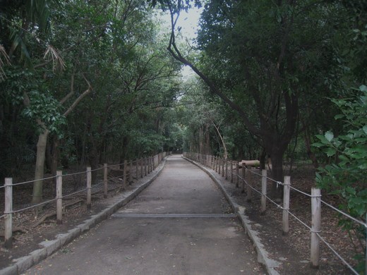 koyaike 020.JPG