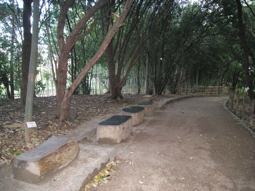 koyaike 021.JPG