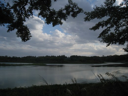 koyaike 023.JPG