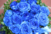 sakuo2012.04 406.JPG